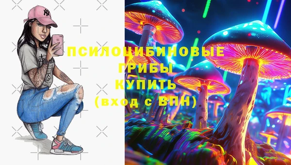 круглые Абаза