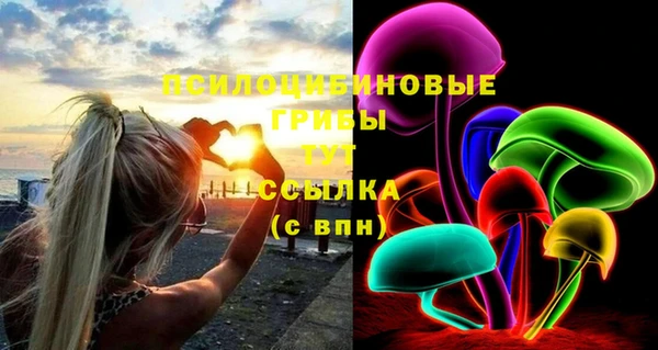 круглые Абаза